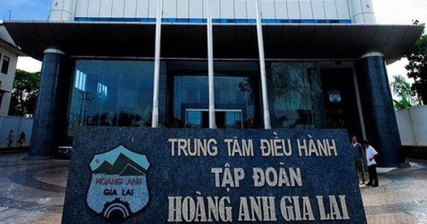 Con gái bầu Đức giữ chức vụ gì ở Hoàng Anh Gia Lai?