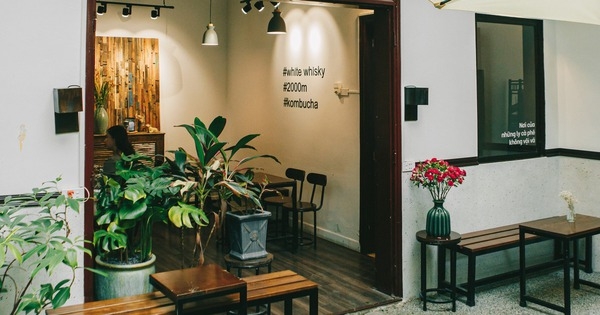 Một chuỗi cà phê 5 cửa hàng của Việt Nam chuẩn bị tiến vào Singapore: “Luckin Coffee làm thế nào, chúng tôi làm ngược lại”