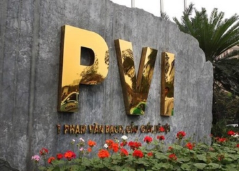 Tổng giám đốc mới của Công ty PVI là ai?