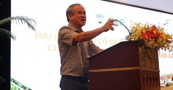 HAGL lãi lớn nửa đầu năm, bầu Đức đã nhận mức thù lao bao nhiêu?