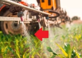 Mô hình kinh doanh đặc biệt “một vốn mười lời”, đã có công ty Việt Nam giành giải thưởng top đầu ASEAN