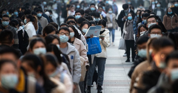 20% cử nhân thất nghiệp: Một ‘thế hệ mất mát’ vì AI, ra trường thiếu kỹ năng, đi xin việc còn không bằng một con chatbot