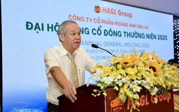 Sau đại hội cổ đông, bầu Đức dự chi hơn trăm tỷ đồng mua cổ phiếu HAG